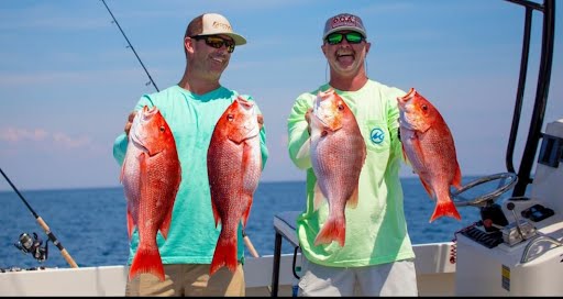 Red Fish Season Florida Gulf-1